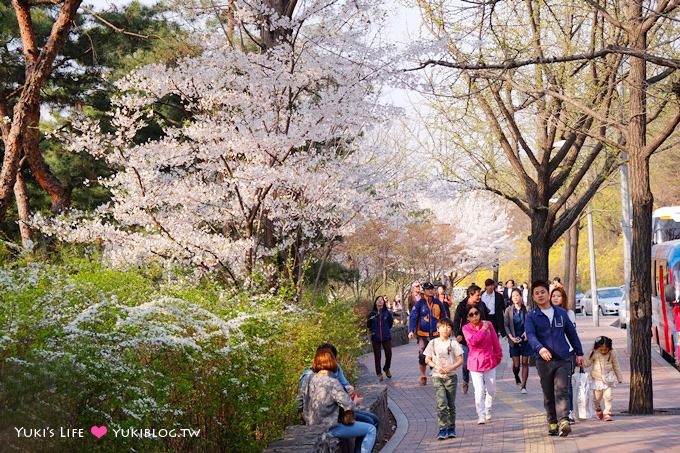 韓國首爾賞櫻景點【首爾塔】賞櫻花、迎春花~ 明洞步行小爬山輕鬆路線.不搭纜車人擠人 - yuki.tw