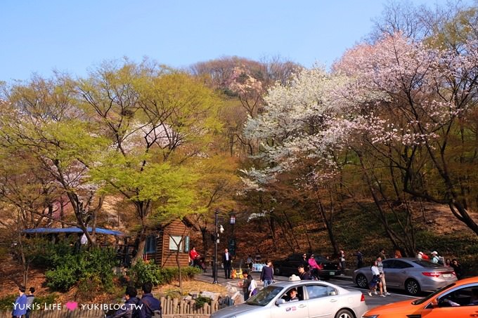 韓國首爾賞櫻景點【首爾塔】賞櫻花、迎春花~ 明洞步行小爬山輕鬆路線.不搭纜車人擠人 - yuki.tw