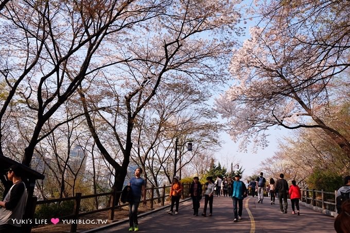 韓國首爾賞櫻景點【首爾塔】賞櫻花、迎春花~ 明洞步行小爬山輕鬆路線.不搭纜車人擠人 - yuki.tw