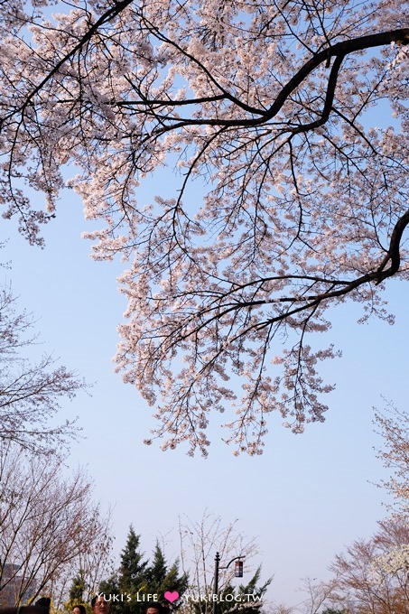 韓國首爾賞櫻景點【首爾塔】賞櫻花、迎春花~ 明洞步行小爬山輕鬆路線.不搭纜車人擠人 - yuki.tw