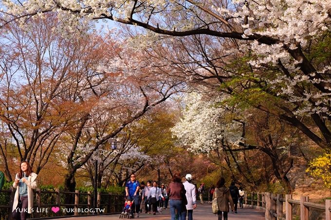 韓國首爾賞櫻景點【首爾塔】賞櫻花、迎春花~ 明洞步行小爬山輕鬆路線.不搭纜車人擠人 - yuki.tw