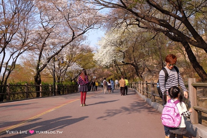 韓國首爾賞櫻景點【首爾塔】賞櫻花、迎春花~ 明洞步行小爬山輕鬆路線.不搭纜車人擠人 - yuki.tw