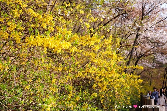 韓國首爾賞櫻景點【首爾塔】賞櫻花、迎春花~ 明洞步行小爬山輕鬆路線.不搭纜車人擠人 - yuki.tw