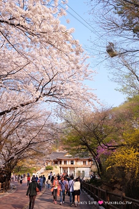 韓國首爾賞櫻景點【首爾塔】賞櫻花、迎春花~ 明洞步行小爬山輕鬆路線.不搭纜車人擠人 - yuki.tw