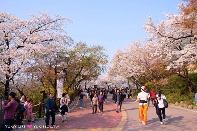 韓國首爾賞櫻景點【首爾塔】賞櫻花、迎春花~ 明洞步行小爬山輕鬆路線.不搭纜車人擠人 - yuki.tw