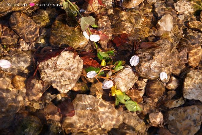 韓國首爾賞櫻景點【首爾塔】賞櫻花、迎春花~ 明洞步行小爬山輕鬆路線.不搭纜車人擠人 - yuki.tw