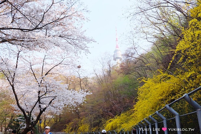 韓國首爾賞櫻景點【首爾塔】賞櫻花、迎春花~ 明洞步行小爬山輕鬆路線.不搭纜車人擠人 - yuki.tw