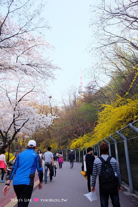 韓國首爾賞櫻景點【首爾塔】賞櫻花、迎春花~ 明洞步行小爬山輕鬆路線.不搭纜車人擠人 - yuki.tw