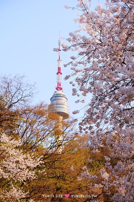 韓國首爾賞櫻景點【首爾塔】賞櫻花、迎春花~ 明洞步行小爬山輕鬆路線.不搭纜車人擠人 - yuki.tw