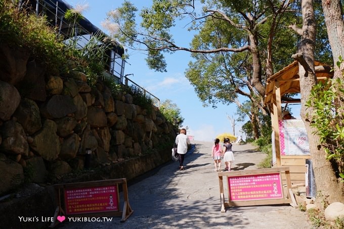 八里【桃樂絲森林(穀興農場)】親子景觀餐廳、大草皮、沙坑、餵小動物、風味餐 - yuki.tw