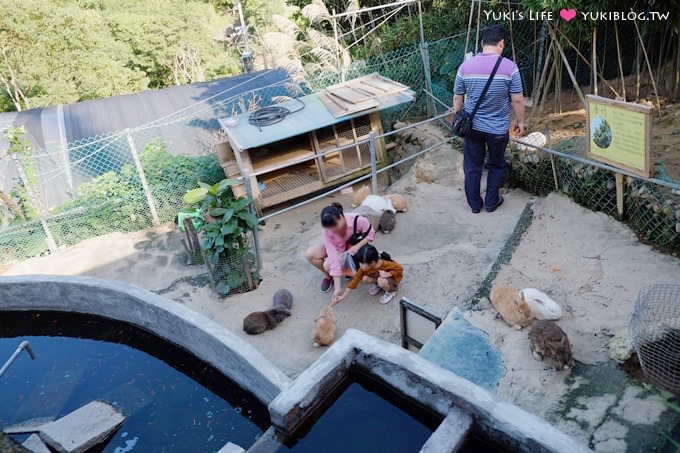 八里【桃樂絲森林(穀興農場)】親子景觀餐廳、大草皮、沙坑、餵小動物、風味餐 - yuki.tw