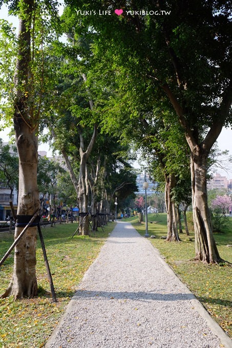 樹林賞櫻親子景點【溪北公園】大貝殼溜滑梯野餐好去處(2/22花況) - yuki.tw