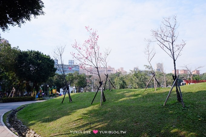 樹林賞櫻親子景點【溪北公園】大貝殼溜滑梯野餐好去處(2/22花況) - yuki.tw