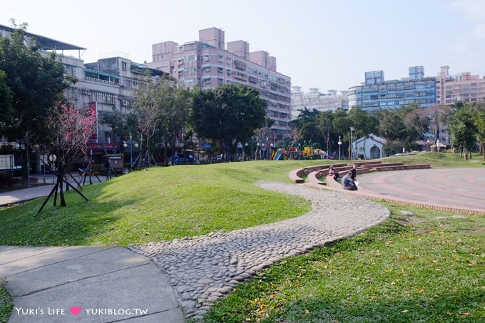 樹林賞櫻親子景點【溪北公園】大貝殼溜滑梯野餐好去處(2/22花況) - yuki.tw