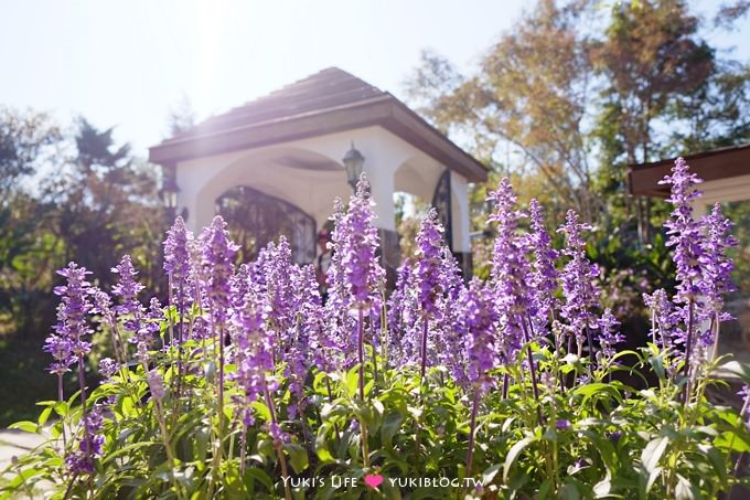 苗栗景點【Vilavilla魔法莊園】童話樹屋沙坑.歐式鄉村風景觀餐廳 - yuki.tw