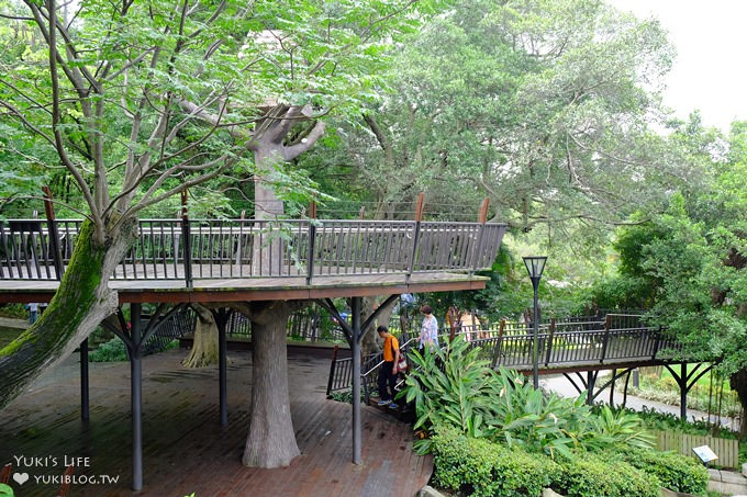 桃園景點【貓頭鷹奧爾森林學堂】虎頭山森林步道新亮點×超多溜滑梯×樹屋故事時間~免費野餐親子景點 - yuki.tw