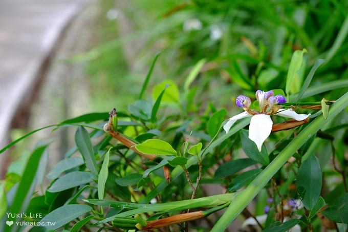 桃園景點【貓頭鷹奧爾森林學堂】虎頭山森林步道新亮點×超多溜滑梯×樹屋故事時間~免費野餐親子景點 - yuki.tw