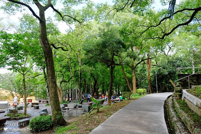 桃園景點【貓頭鷹奧爾森林學堂】虎頭山森林步道新亮點×超多溜滑梯×樹屋故事時間~免費野餐親子景點 - yuki.tw