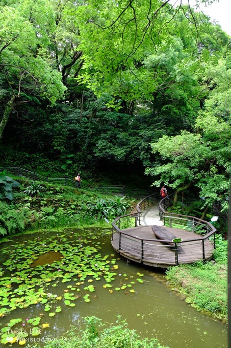 桃園景點【貓頭鷹奧爾森林學堂】虎頭山森林步道新亮點×超多溜滑梯×樹屋故事時間~免費野餐親子景點 - yuki.tw