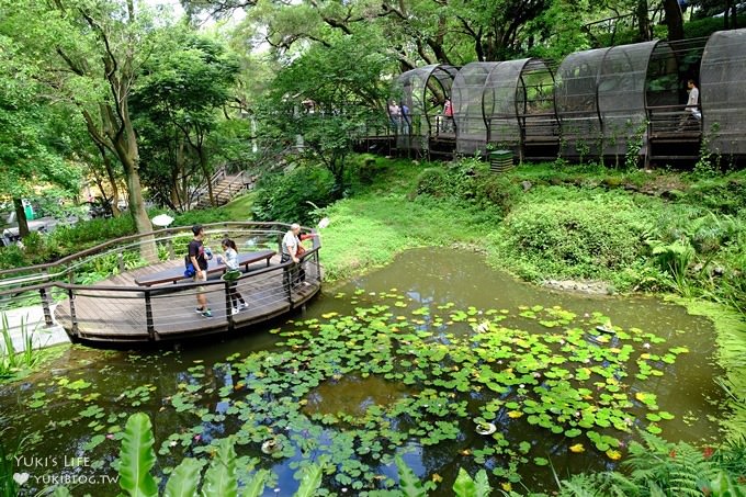 桃園景點【貓頭鷹奧爾森林學堂】虎頭山森林步道新亮點×超多溜滑梯×樹屋故事時間~免費野餐親子景點 - yuki.tw