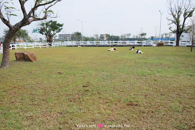 雲林景點【千巧谷牛樂園牧場】免門票大沙坑觀光牧場×手作窯烤PIZZA、鮮奶茶、麵包蛋糕 - yuki.tw