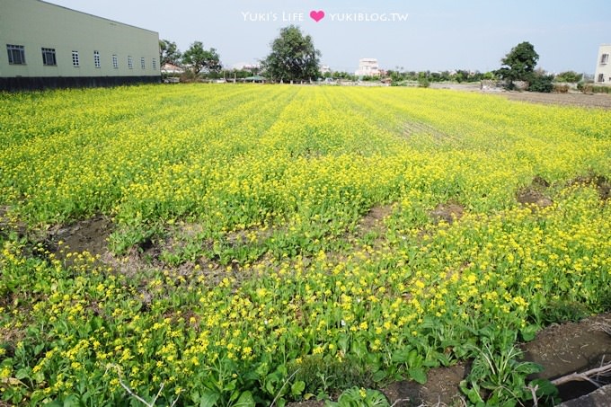 雲林景點【千巧谷牛樂園牧場】免門票大沙坑觀光牧場×手作窯烤PIZZA、鮮奶茶、麵包蛋糕 - yuki.tw