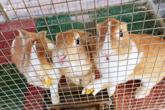 嘉義景點》獨角仙休閒農場，戶外親子好去處，餵動物玩沙下午茶 - yuki.tw