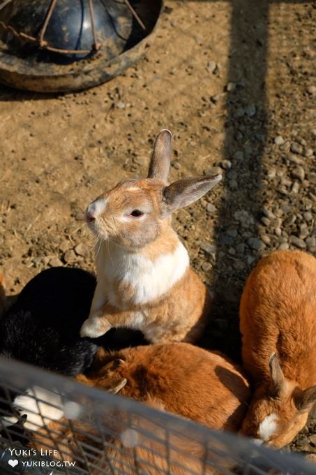 嘉義景點》獨角仙休閒農場，戶外親子好去處，餵動物玩沙下午茶 - yuki.tw