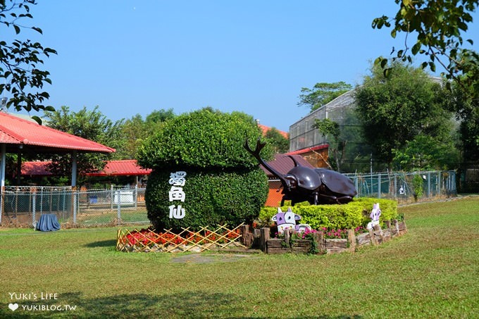 嘉義景點》獨角仙休閒農場，戶外親子好去處，餵動物玩沙下午茶 - yuki.tw