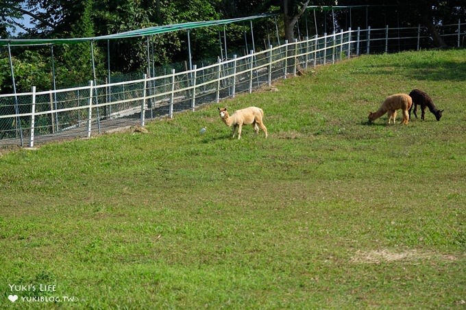 嘉義景點》獨角仙休閒農場，戶外親子好去處，餵動物玩沙下午茶 - yuki.tw