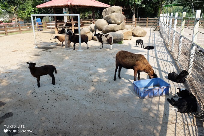 嘉義景點》獨角仙休閒農場，戶外親子好去處，餵動物玩沙下午茶 - yuki.tw