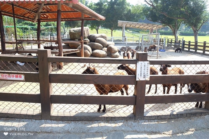 嘉義景點》獨角仙休閒農場，戶外親子好去處，餵動物玩沙下午茶 - yuki.tw