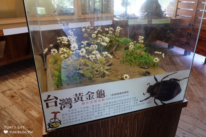 嘉義景點》獨角仙休閒農場，戶外親子好去處，餵動物玩沙下午茶 - yuki.tw