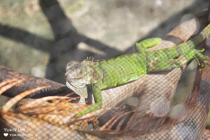 嘉義景點》獨角仙休閒農場，戶外親子好去處，餵動物玩沙下午茶 - yuki.tw