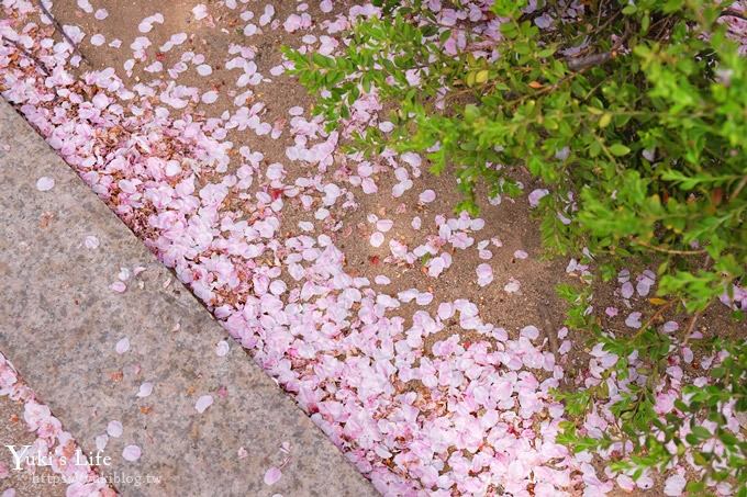 韓國賞櫻景點推廌【汝矣島櫻花節】櫻花隧道超浪漫×野餐大草皮 - yuki.tw