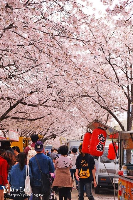 韓國賞櫻景點推廌【汝矣島櫻花節】櫻花隧道超浪漫×野餐大草皮 - yuki.tw