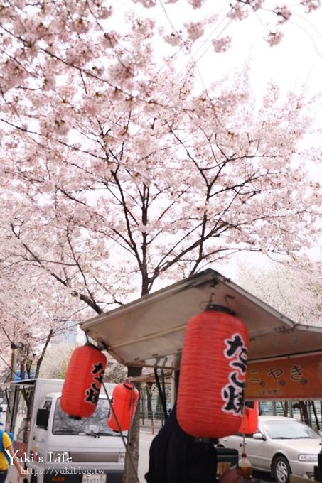 韓國賞櫻景點推廌【汝矣島櫻花節】櫻花隧道超浪漫×野餐大草皮 - yuki.tw