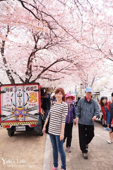 韓國賞櫻景點推廌【汝矣島櫻花節】櫻花隧道超浪漫×野餐大草皮 - yuki.tw