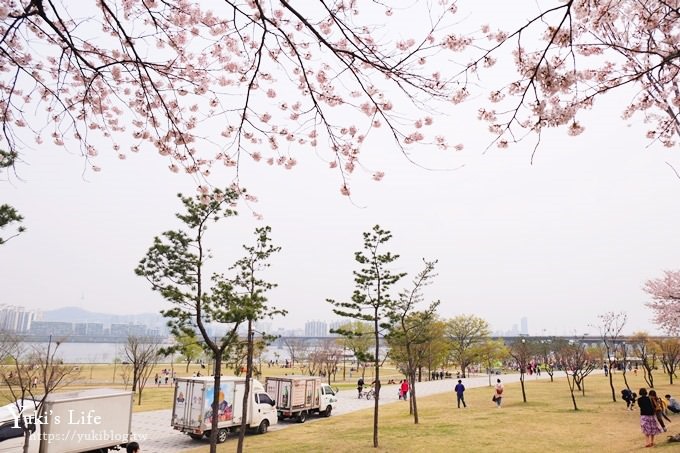 韓國賞櫻景點推廌【汝矣島櫻花節】櫻花隧道超浪漫×野餐大草皮 - yuki.tw