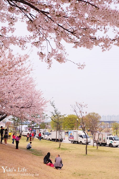 韓國賞櫻景點推廌【汝矣島櫻花節】櫻花隧道超浪漫×野餐大草皮 - yuki.tw