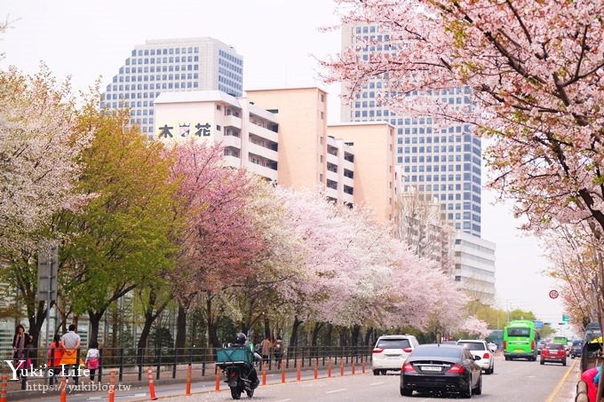 韓國賞櫻景點推廌【汝矣島櫻花節】櫻花隧道超浪漫×野餐大草皮 - yuki.tw