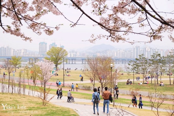 韓國賞櫻景點推廌【汝矣島櫻花節】櫻花隧道超浪漫×野餐大草皮 - yuki.tw