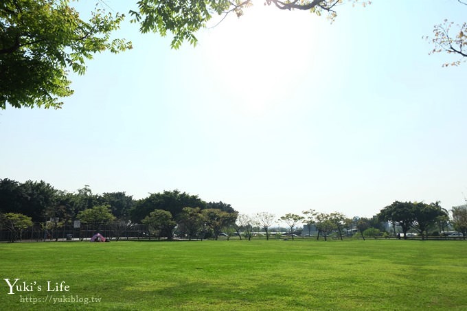 桃園景點【玉山公園】落羽松大道×黑熊溜滑梯～大草皮野餐親子景點 - yuki.tw