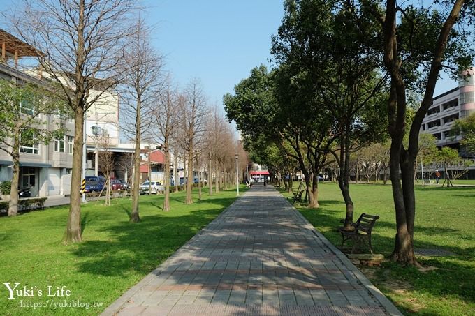 桃園景點【玉山公園】落羽松大道×黑熊溜滑梯～大草皮野餐親子景點 - yuki.tw