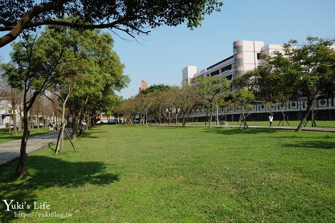 桃園景點【玉山公園】落羽松大道×黑熊溜滑梯～大草皮野餐親子景點 - yuki.tw