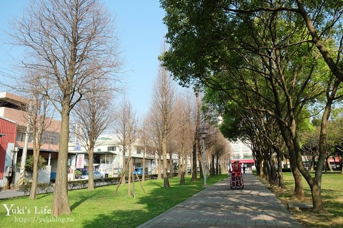 桃園景點【玉山公園】落羽松大道×黑熊溜滑梯～大草皮野餐親子景點 - yuki.tw