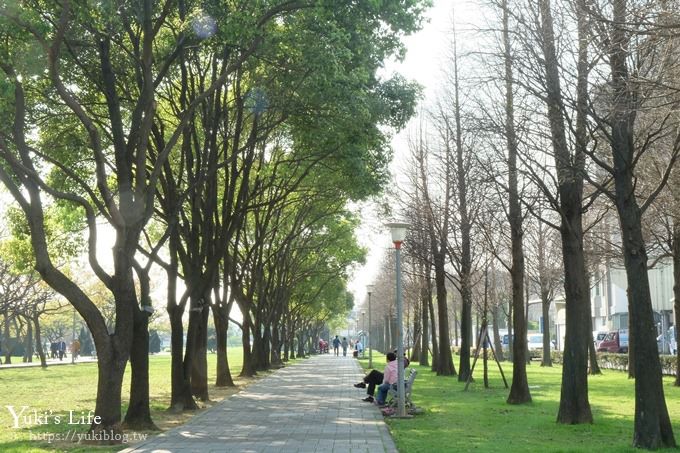 桃園景點【玉山公園】落羽松大道×黑熊溜滑梯～大草皮野餐親子景點 - yuki.tw