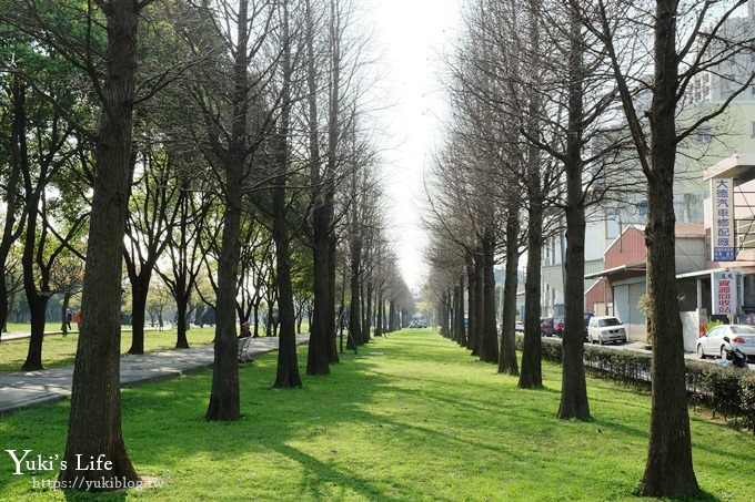 桃園景點【玉山公園】落羽松大道×黑熊溜滑梯～大草皮野餐親子景點 - yuki.tw