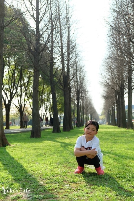 桃園景點【玉山公園】落羽松大道×黑熊溜滑梯～大草皮野餐親子景點 - yuki.tw