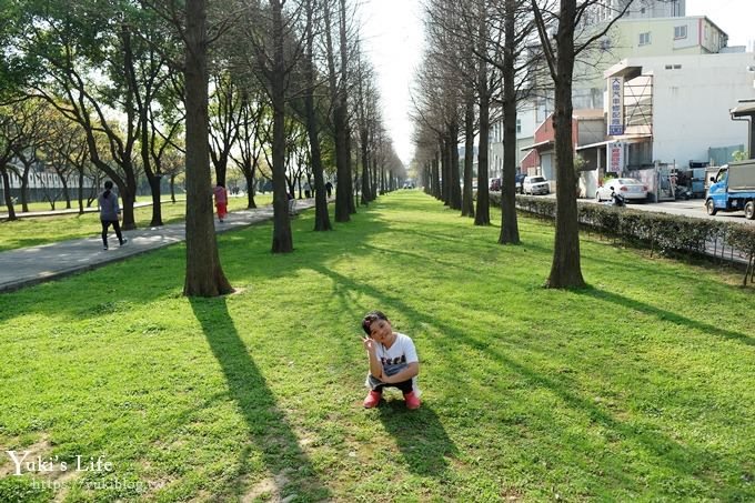 桃園景點【玉山公園】落羽松大道×黑熊溜滑梯～大草皮野餐親子景點 - yuki.tw